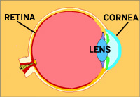 Diagram of eye