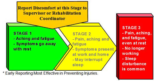 MSD Stages